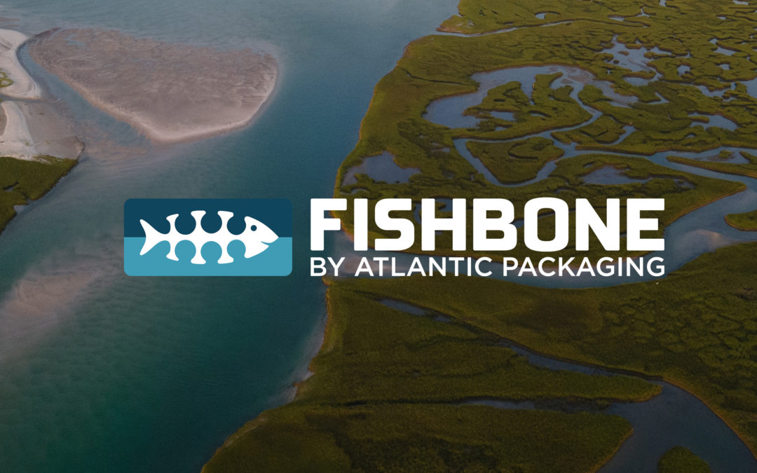 Fishbone Marsh Image