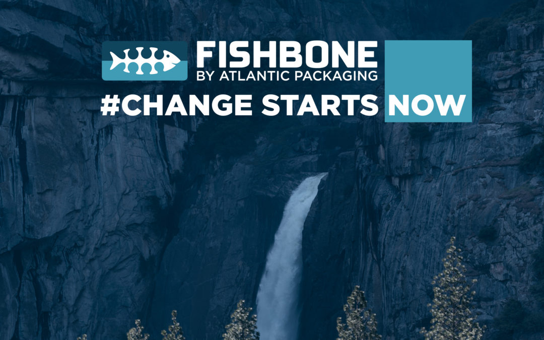 Fishbone Change Starts Now Image (Waterfall)