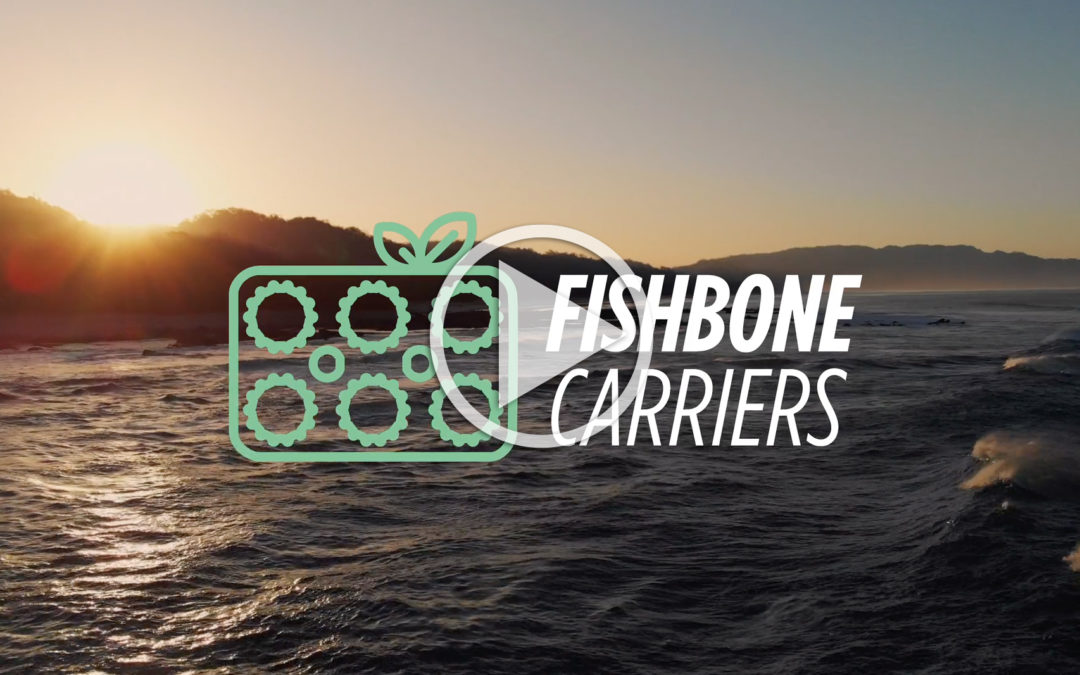 Fishbone Sustainable Can Carriers (Message from Wes)
