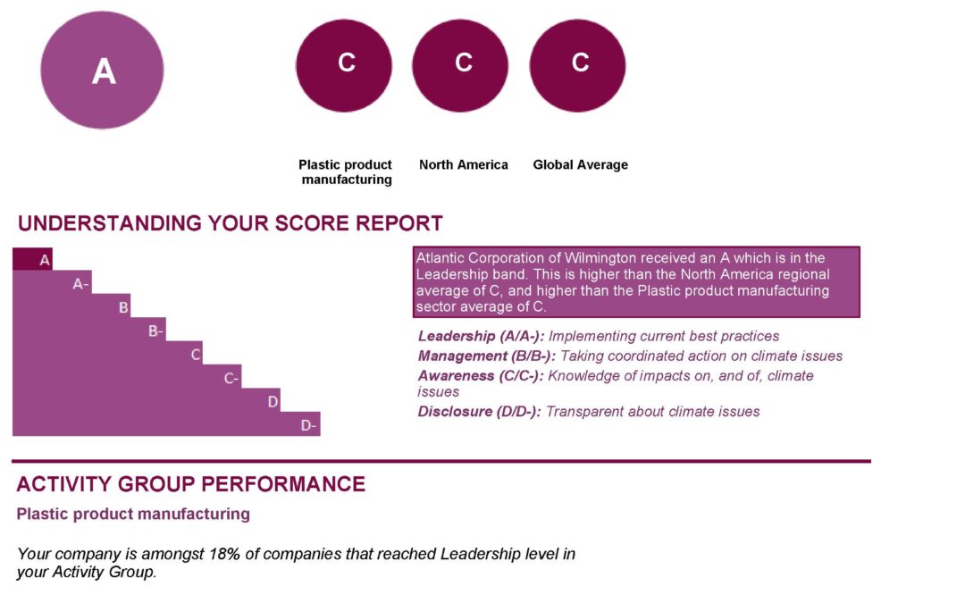 CDP Score Report 2023